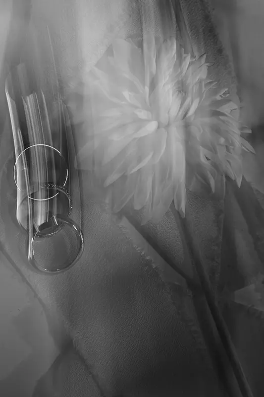 Bride's Rings